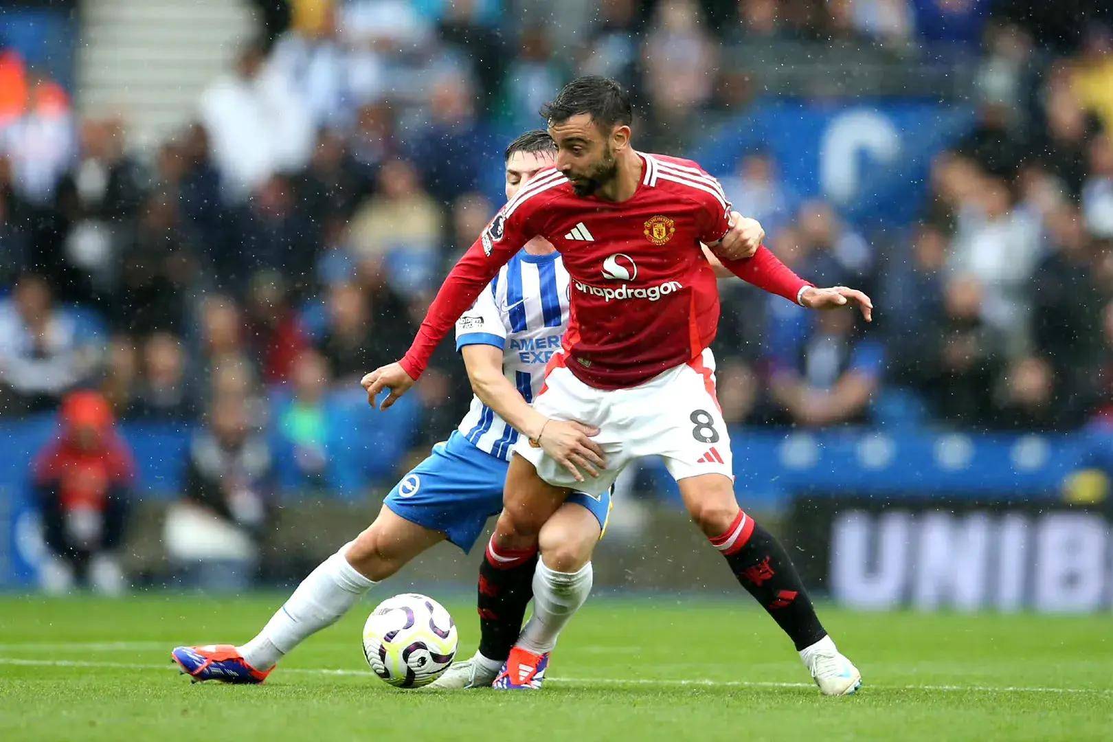 这意味着双 这意味着双